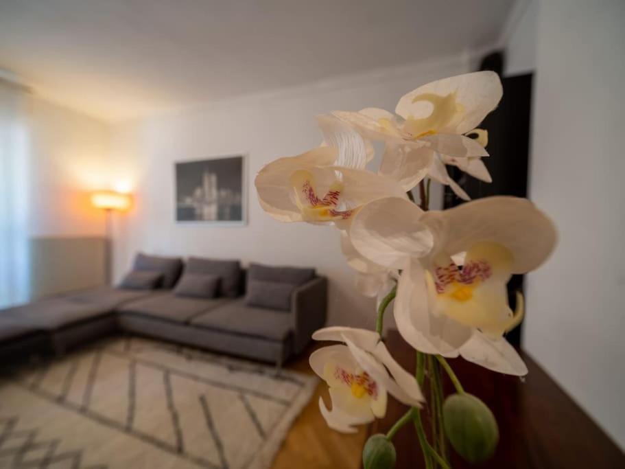 Appartement Climatise Tout Equipe A Cote Du Stade Velodrome マルセイユ エクステリア 写真